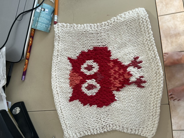 Owl Dishcloth