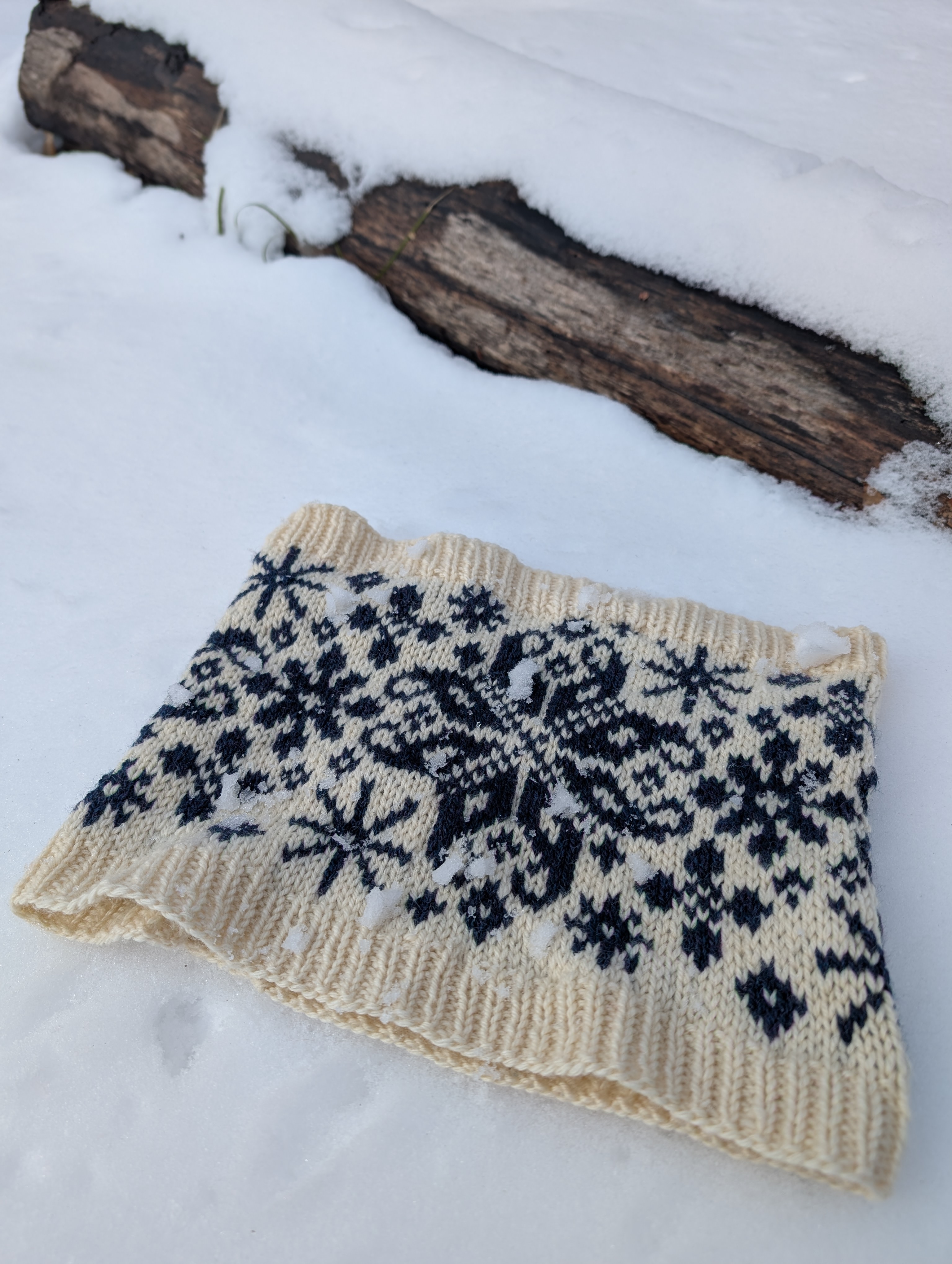 Snowflakes in the Sky Cowl