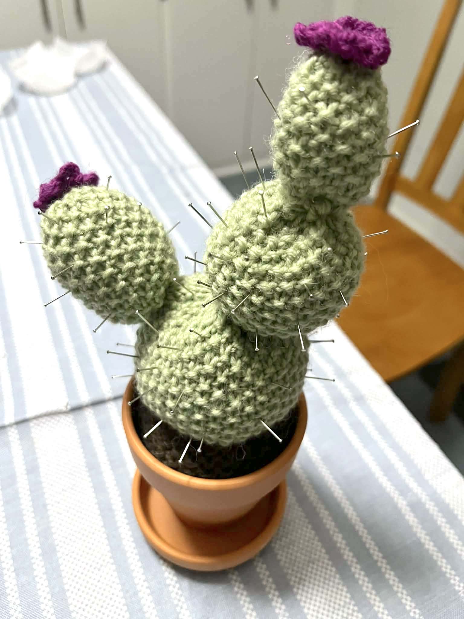 Desiree's Multi-bobble Office Cactus