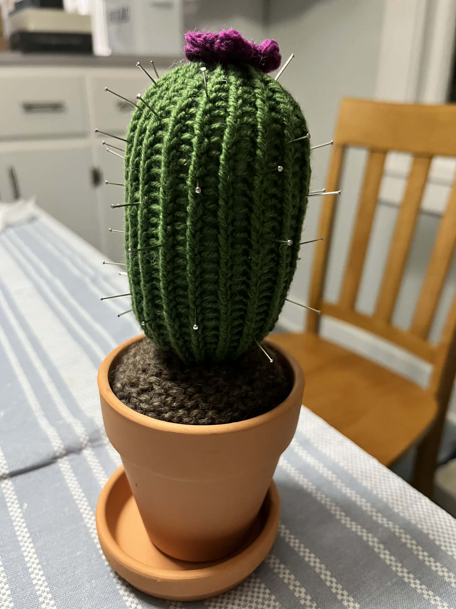 Will's Tall Purple Flower Office Cactus