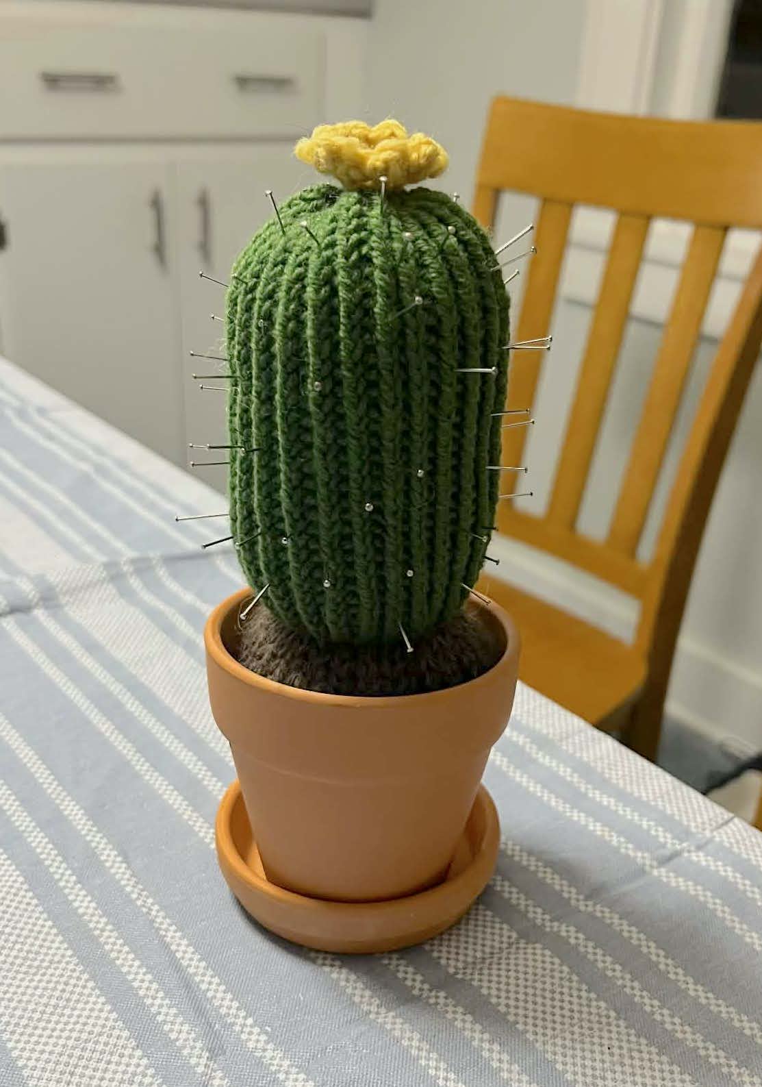 Tori's Tall Yellow Flower Office Cactus