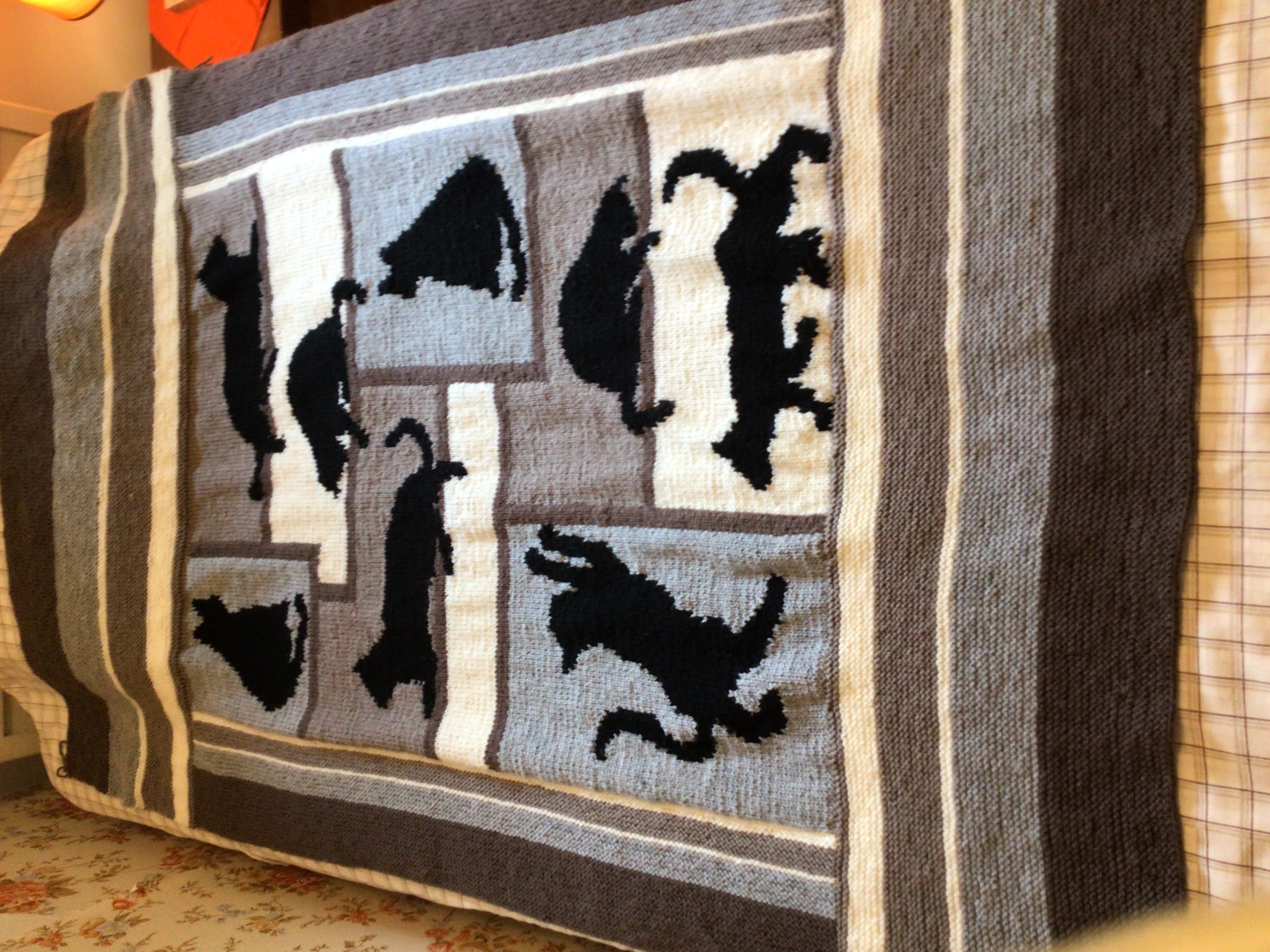Cats Afghan